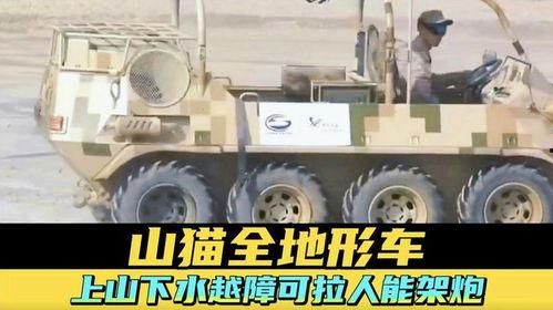 国产山猫车视频,驰骋山野的越野传奇