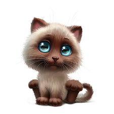 国产小猫动漫视频,萌动心灵，治愈系治愈之旅