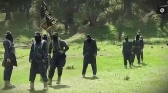 国产踢裆免费视频,一场视觉与激情的盛宴